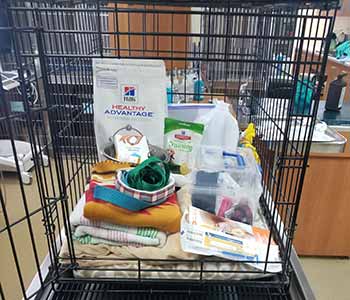 Pet Evacuation Kit Image 1