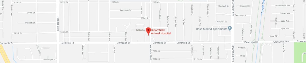 Certified Veterinary Cardiologist Near Southern California - Google Map