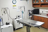 Bloomfield Animal Hospital Office Surgery suite