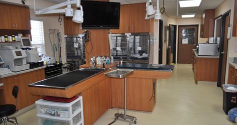 Bloomfield Animal Hospital Office inside clinic