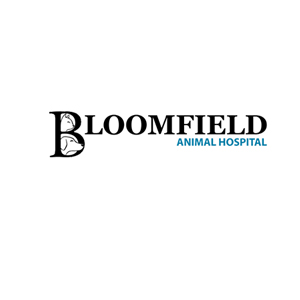 Animal Clinic Lakewood CA - Vet Doctors | Bloomfield Animal Hospital