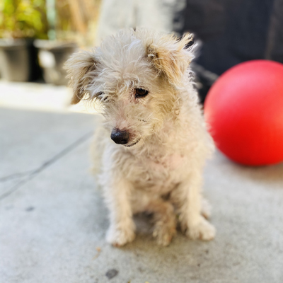 Heidi, Norwalk Blvd, Lakewood, CA