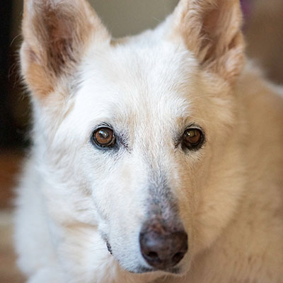 Yuki,  Norwalk Blvd, Lakewood, CA